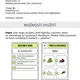 ENG - FRUITS AND VEGETABLES (BEHACIA HRA, KVÍZ, ÚLOHY) 2