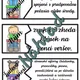PUZZLE Literárne pojmy 3. ročník  3
