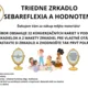 TRIEDNE ZRKADLO - SEBAREFLEXIA A HODNOTENIE 2