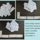 Domino - family members 2