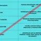 Majstri triedy - ranne kruhy- režim dňa 3