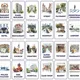 CITY | English flashcards | Obrázkové karty v angličtine 2