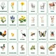 SPRING AND EASTER FLASHCARDS | obrázkové kartičky v angličtine 2