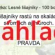 RISKUJ! - Lesné mikroorganizmy, nekvitnúce a kvitnúce rastliny, huby a lišajníky 4