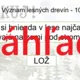 RISKUJ! - Ako žije les, lesné dreviny a kry, význam lesných drevín 4