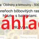 RISKUJ! - Lúky, polia, pasienky, lúčne rastliny a huby, poľné plodiny 4