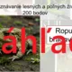 RISKUJ! - Lúčne a poľné živočíchy 5