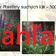 RISKUJ! - Lúčne rastliny a huby, poľné plodiny (POZNÁVAČKA) 4