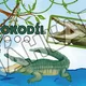 Exotické zvieratá/ ZOO - demonštračné obrázky  2