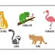 Exotické zvieratá 🦁🐼 4