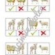 DOMÁCE A HOSPODÁRSKE ZVIERATÁ - brožúra - rovnaké x rozdielne? 2