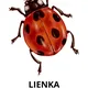 Letné aktivity do MŠ 6