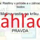 RISKUJ! - Opakovanie učiva z prírodovedy 4