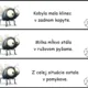 Behací diktát - opakovanie učiva 1. polrok 2