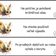 Behací diktát - vybrané slová po r, s 2