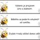 Behací diktát - vybrané slová po v, z 2