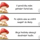 Behací diktát - samohláska ä 2