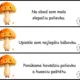 Behací diktát - dvojhlásky 2
