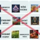 Slovná zásoba / komplet lexikológia, slovo, tvorivé písanie, kvíz 5