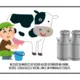 Deň mlieka, Svetový deň mlieka na školách🥛 4