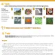 Pracovný list (AJ B1-B2) How climate change disrupts fall foliage 2