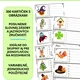 Five words, one picture – vocabulary, writing, speaking practice SET 1 3