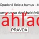 RISKUJ! - Význam lesných drevín 4