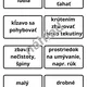 Vybrané slová po M- aktivity  2