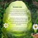 EKOmisia 3