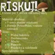 RISKUJ! - Lesné mikroorganizmy a nekvitnúce byliny 2