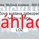 RISKUJ! - Vylučovanie a močová sústava stavovcov 4