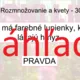 RISKUJ! - Lesné kvitnúce byliny 4