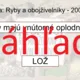 RISKUJ! - Rozmnožovanie a vývin stavovcov 4