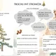 🎄Trochu iný stromček - vianočný príbeh s posolstvom + pexeso, omaľovánky, PL 5