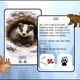 Zvieratá v zime- obojstranné kartičky🐻 2