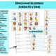 Šípkované bludisko: Zvieratá v zime 2