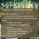 RISKUJ! - Lesný ekosystém 2