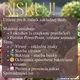 RISKUJ! - Vírusy a baktérie 2