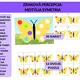 Zraková percepcia: Motýlia symetria 2