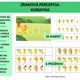 Zraková percepcia: Kuriatka 2