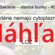 RISKUJ! - Vírusy a baktérie 4