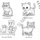 My book about CATS 4