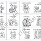 My Little Animal Book 5