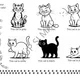 My book about CATS 5