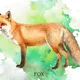 🐻 🦊🦉FLASHCARDS - FOREST ANIMALS🐻 🦊🦉 3