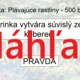 RISKUJ! - Vodné rastliny 4
