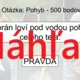 RISKUJ! - Vodné vtáky 4