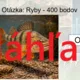 RISKUJ! - Poznávanie vodných živočíchov 4