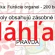 RISKUJ! - Bunka a jej štruktúry  4