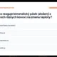 Riskuj – Fyzika – Opakovanie 7. ročníka 9